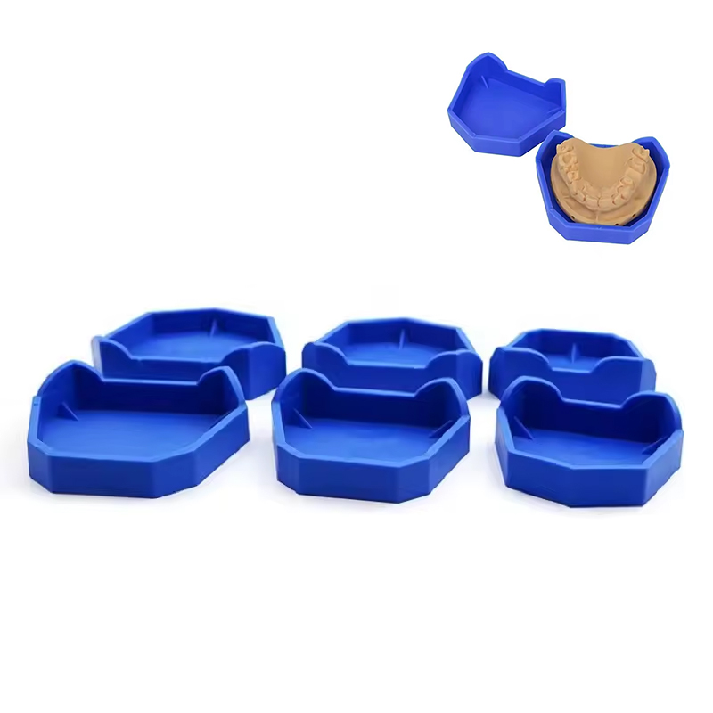 Teeth Whitening Trays - 2/6 sztuk podstawa modelu dentystycznego gips