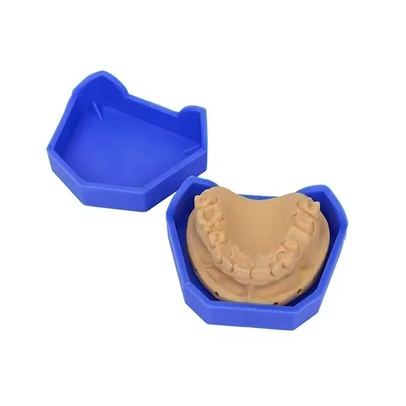 2/6 sztuk podstawa modelu dent – Teeth Whitening Trays recenzja i cena