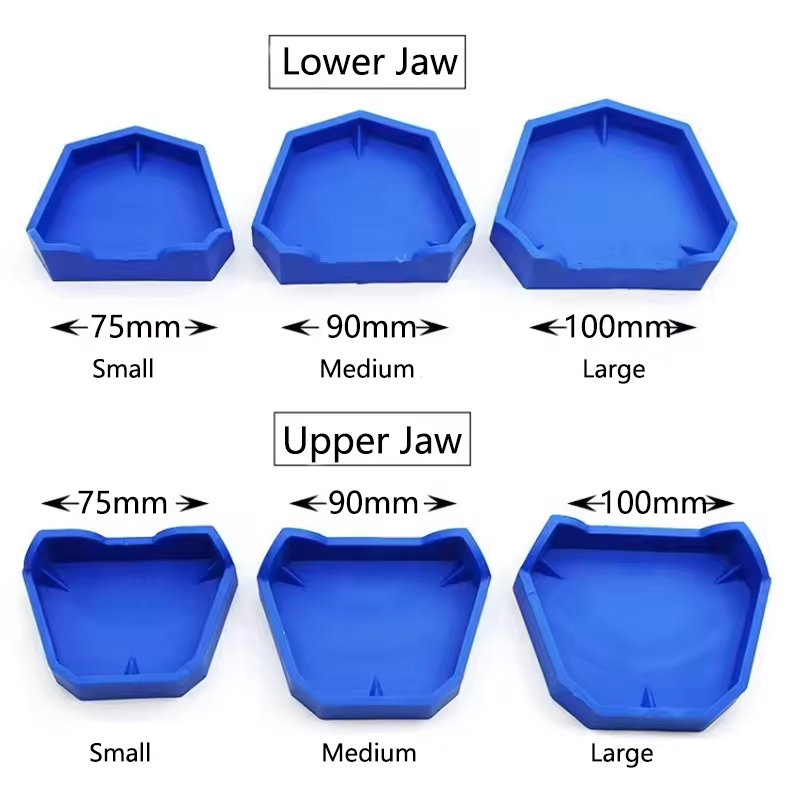 2/6 sztuk podstawa modelu dent – Teeth Whitening Trays recenzja i cena