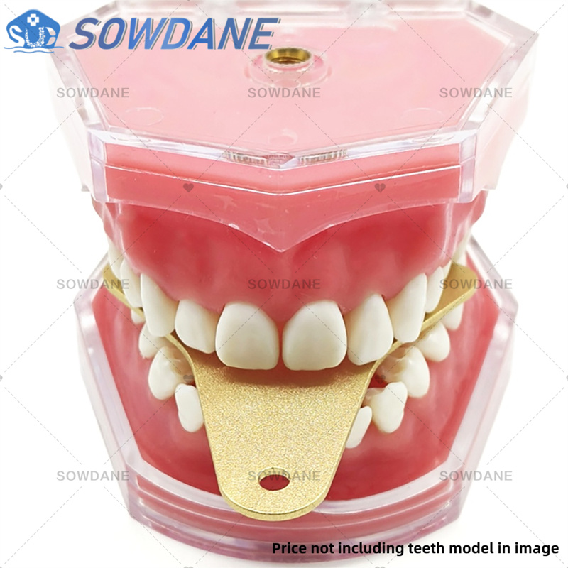 Zestaw tacki do odcisków denty – Teeth Whitening Trays recenzja i cena
