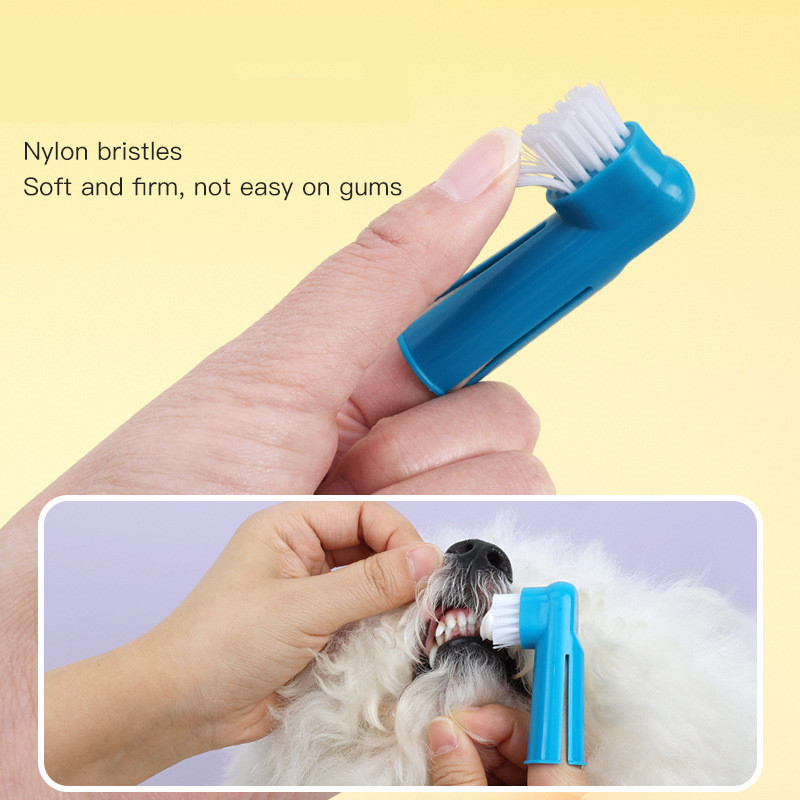 Miękka szczoteczka do zębów dl – Teeth Whitening Brush recenzja i cena